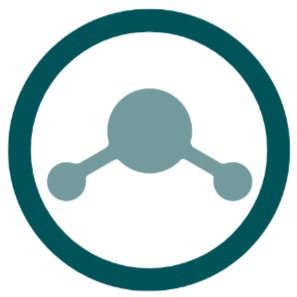 Realise Labs logo